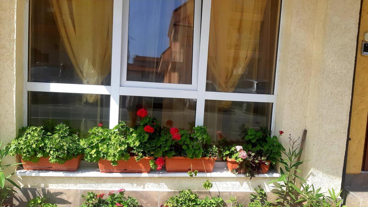 Къща За Гости Вълчеви Несебър Exterior photo